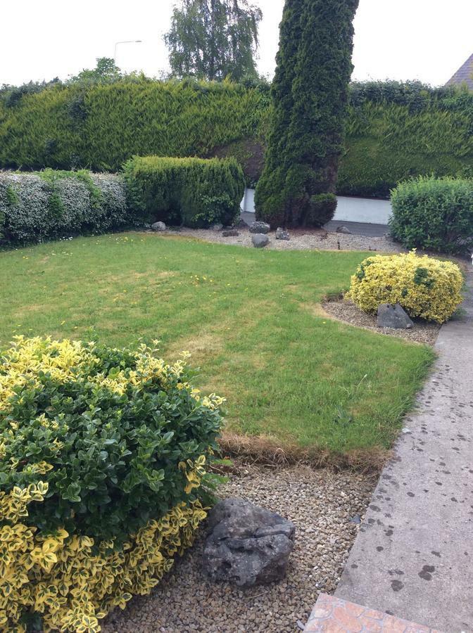 Riverside House Bed & Breakfast Roscommon Dış mekan fotoğraf