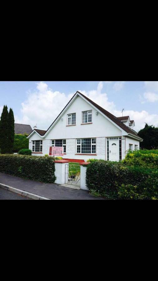 Riverside House Bed & Breakfast Roscommon Dış mekan fotoğraf